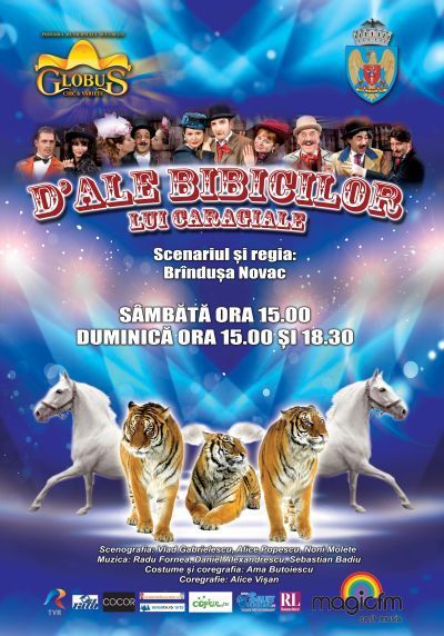 afis bibici2012articol.jpg afis bibici2012